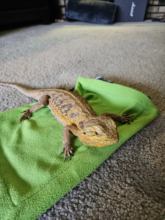 J&R Aquatic Animal Rescue Picture 5