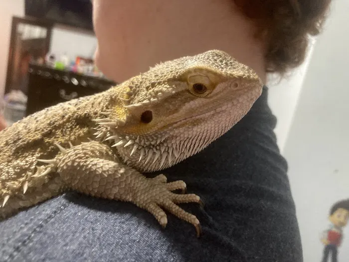 J&R Aquatic Animal Rescue Picture 2