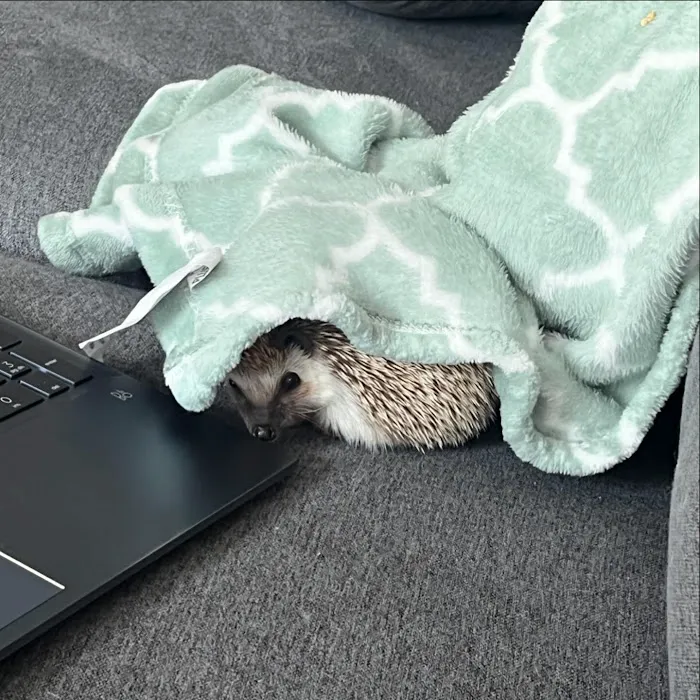 J&R Aquatic Animal Rescue Picture 6