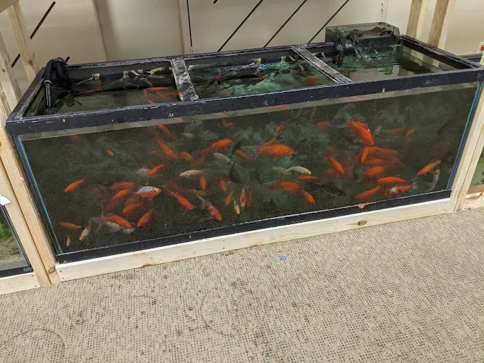 J&R Aquatic Animal Rescue Picture 10