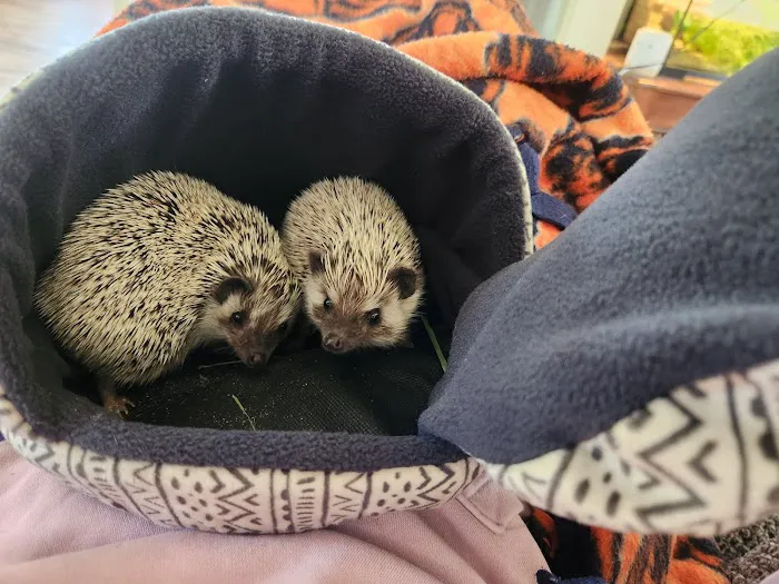 J&R Aquatic Animal Rescue Picture 4