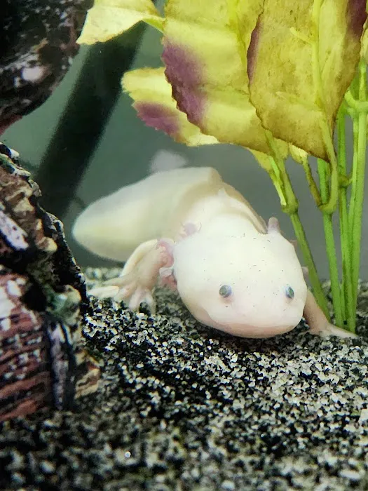 J&R Aquatic Animal Rescue Picture 9