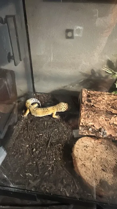 J&R Aquatic Animal Rescue Picture 8