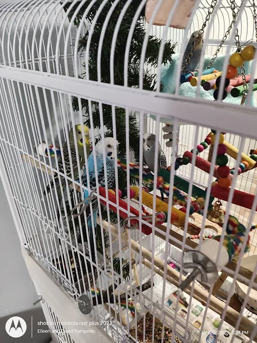 J&R Aquatic Animal Rescue Picture 7