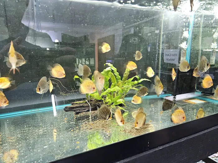 Fish Cave LLC Picture 4