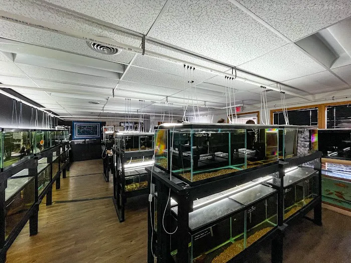 Fish Cave LLC Picture 7