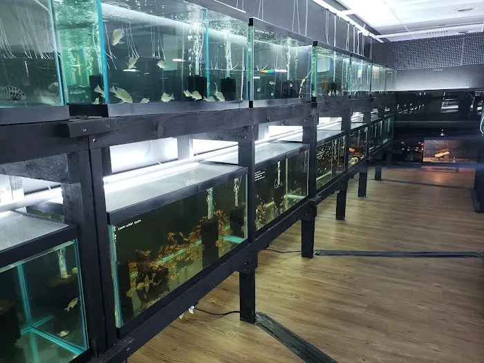 Fish Cave LLC Picture 6