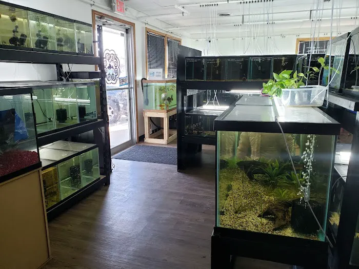 Fish Cave LLC Picture 1