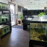 Fish Cave LLC