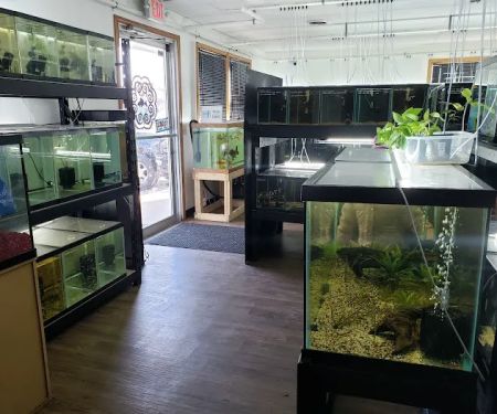 Fish Cave LLC