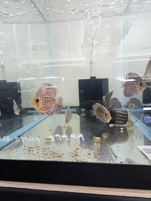 Fish Cave LLC Picture 3