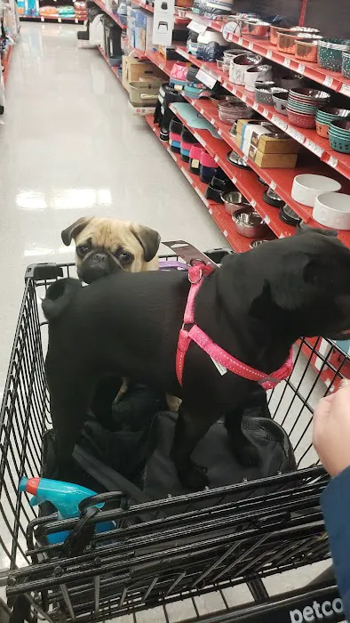 Petco Picture 3
