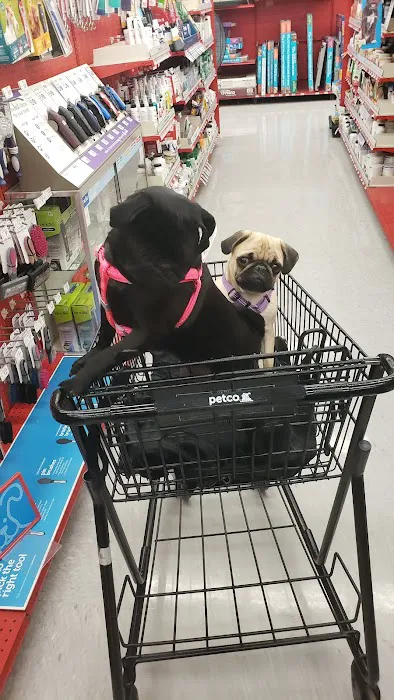 Petco Picture 6