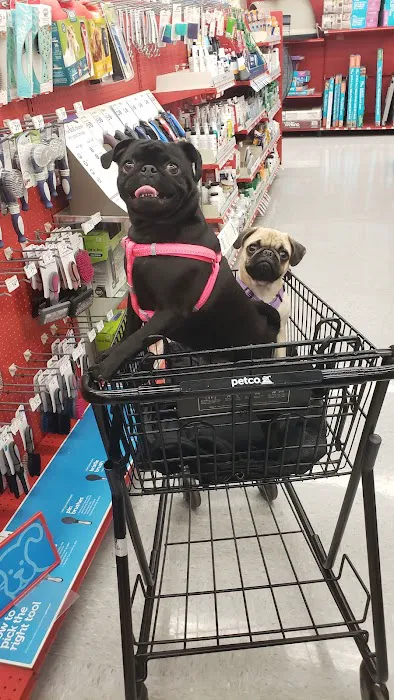 Petco Picture 5