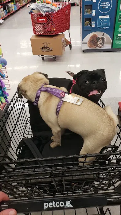 Petco Picture 9