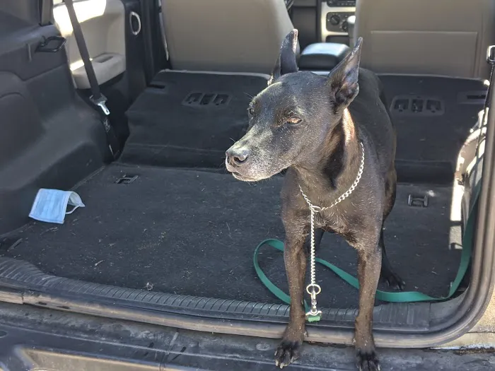 Advanced Veterinary Care Picture 9