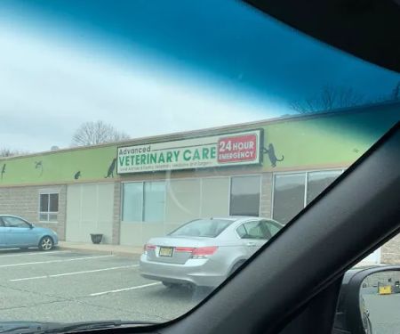 Advanced Veterinary Care