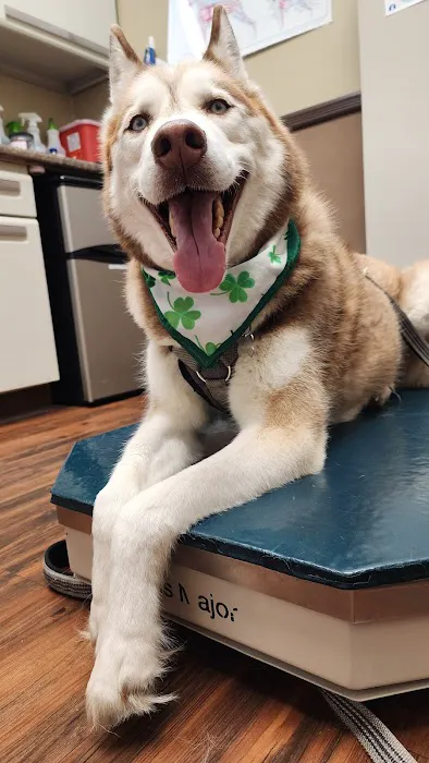 Advanced Veterinary Care Picture 8