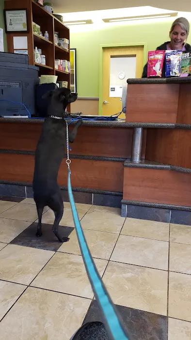 Advanced Veterinary Care Picture 5