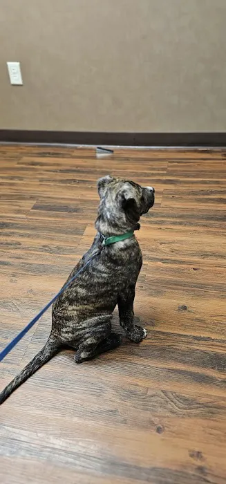 Advanced Veterinary Care Picture 6