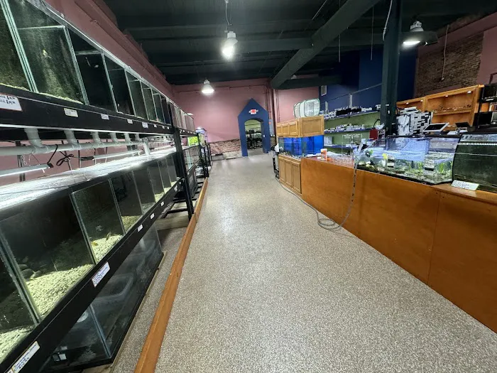 Wild Habitats Picture 6