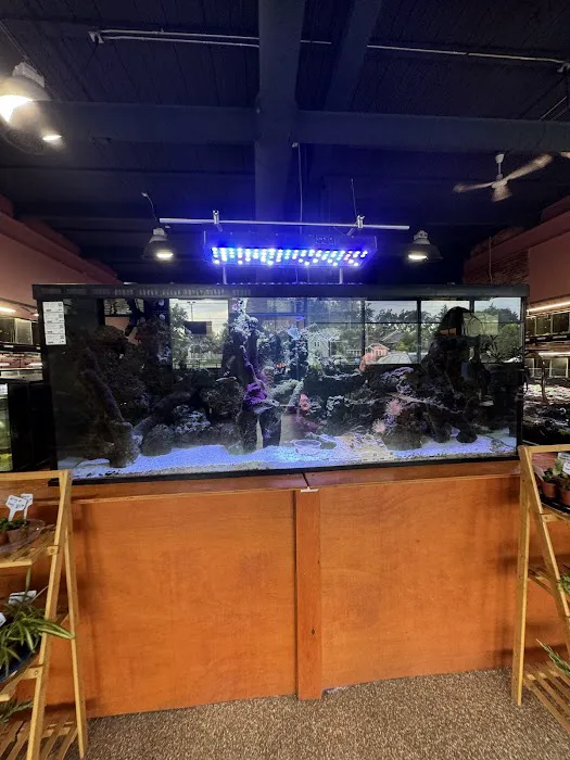 Wild Habitats Picture 4