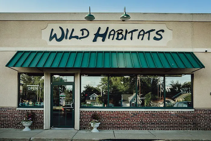 Wild Habitats Picture 1