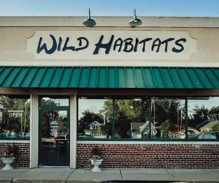 Wild Habitats