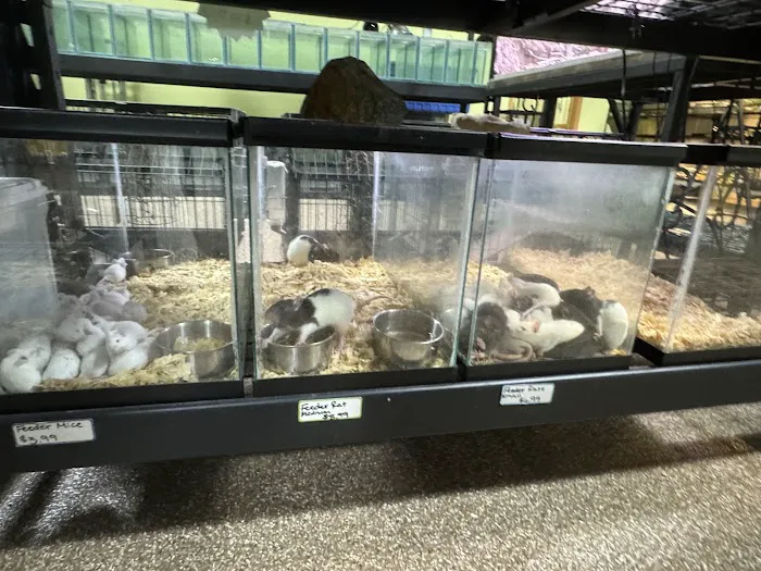 Wild Habitats Picture 5