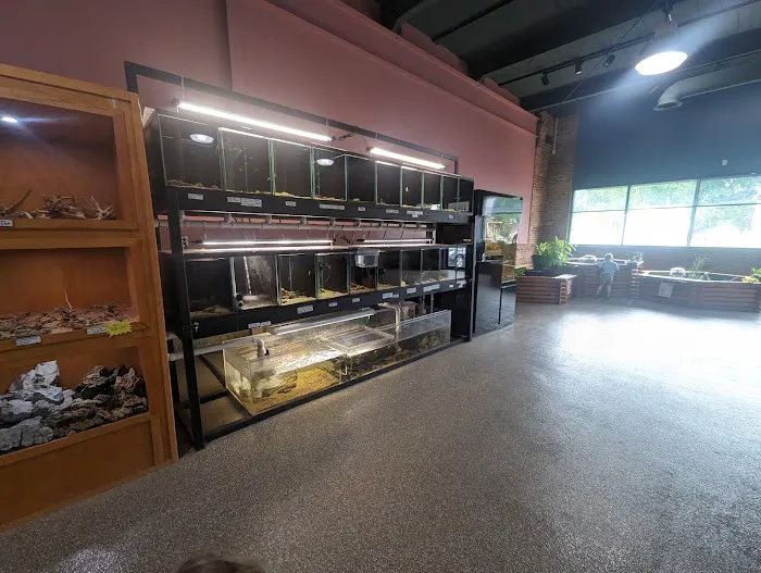 Wild Habitats Picture 3