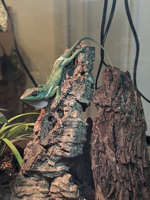 Wild Habitats Picture 8