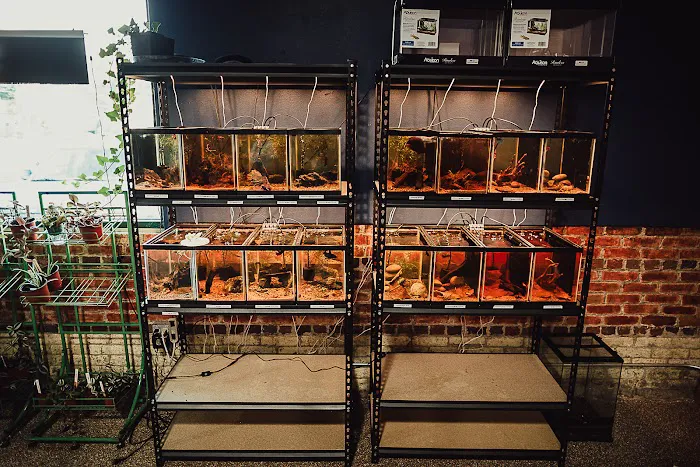 Wild Habitats Picture 10