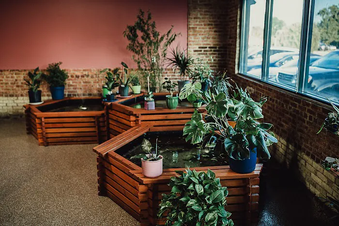 Wild Habitats Picture 9