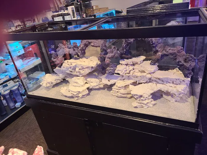 AquaMarine IMPORTS Picture 1