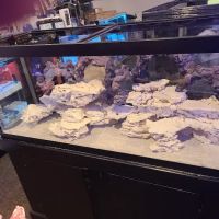 AquaMarine IMPORTS ico