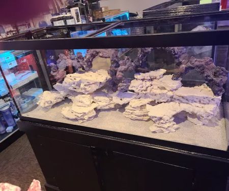 AquaMarine IMPORTS