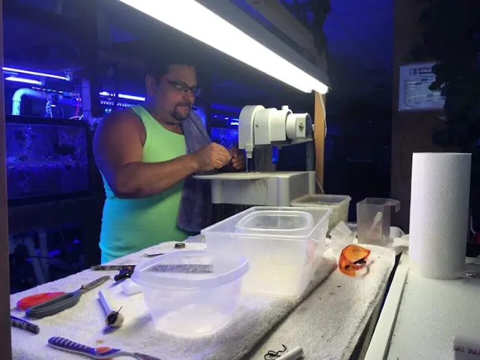 AquaMarine IMPORTS Picture 7