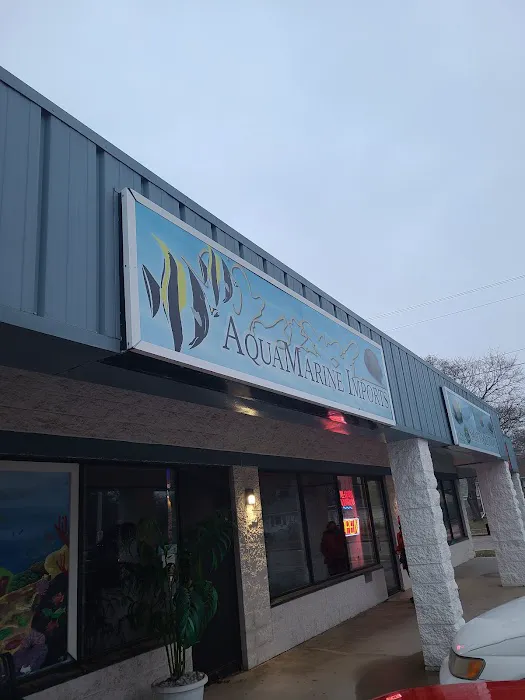 AquaMarine IMPORTS Picture 6