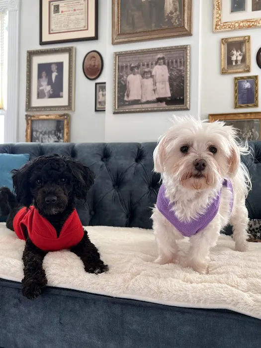 Green Pond Animal Care Center Picture 8