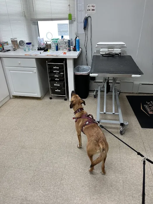 Green Pond Animal Care Center Picture 4