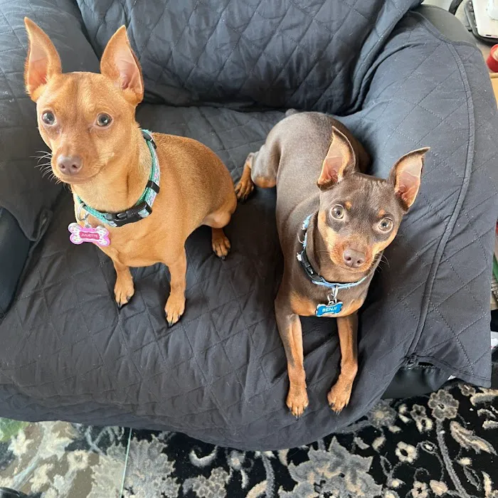 Green Pond Animal Care Center Picture 5