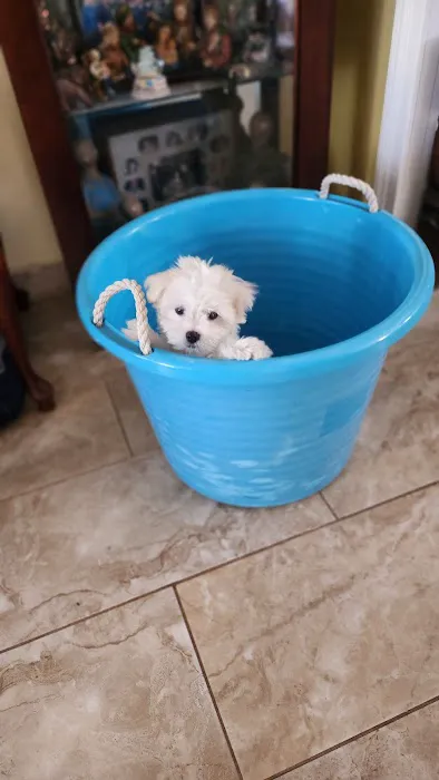 Green Pond Animal Care Center Picture 10