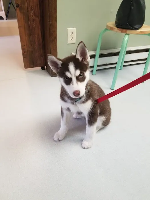 Lake Hopatcong Animal Hospital Picture 10