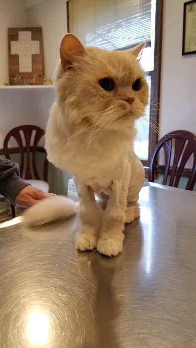 Lake Hopatcong Animal Hospital Picture 7