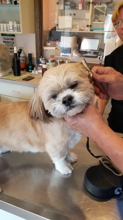 Lake Hopatcong Animal Hospital Picture 1