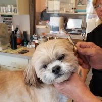Lake Hopatcong Animal Hospital ico