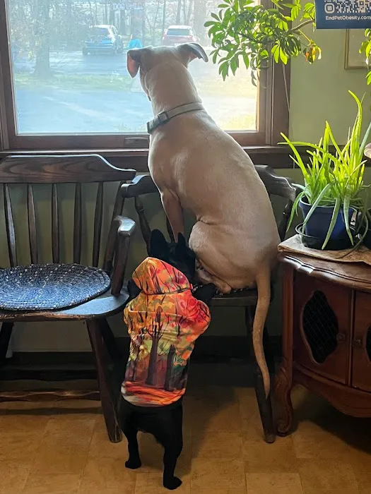 Lake Hopatcong Animal Hospital Picture 5