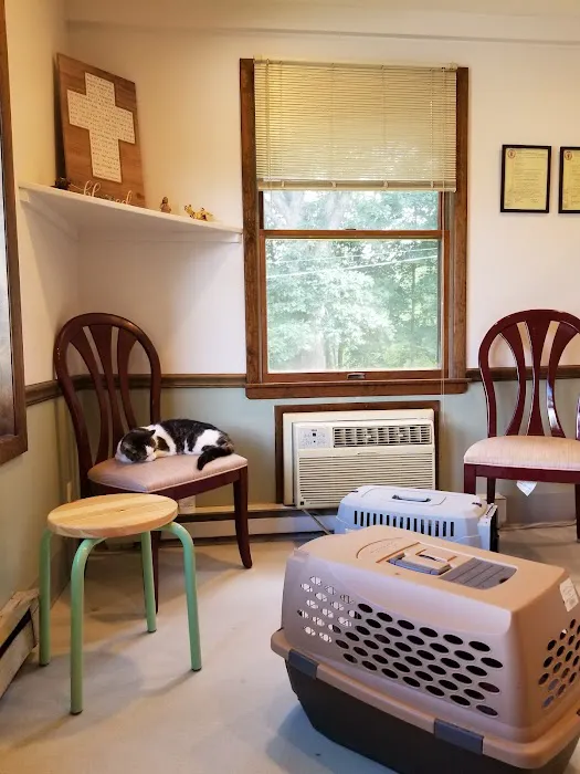 Lake Hopatcong Animal Hospital Picture 8