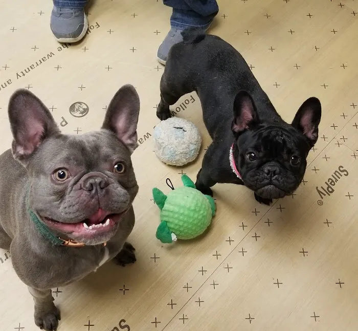 Lake Hopatcong Animal Hospital Picture 2