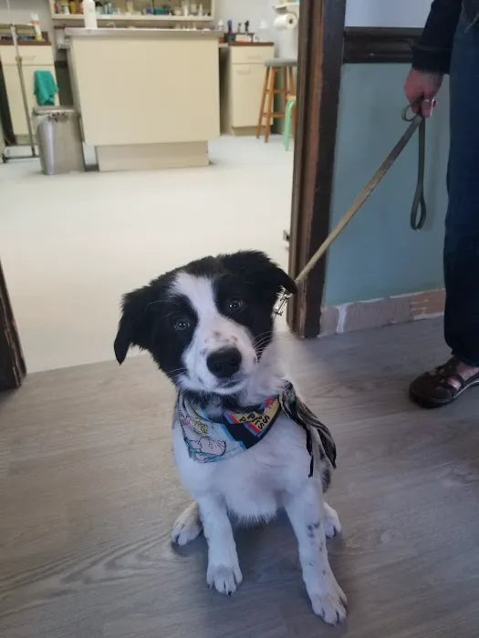 Lake Hopatcong Animal Hospital Picture 3